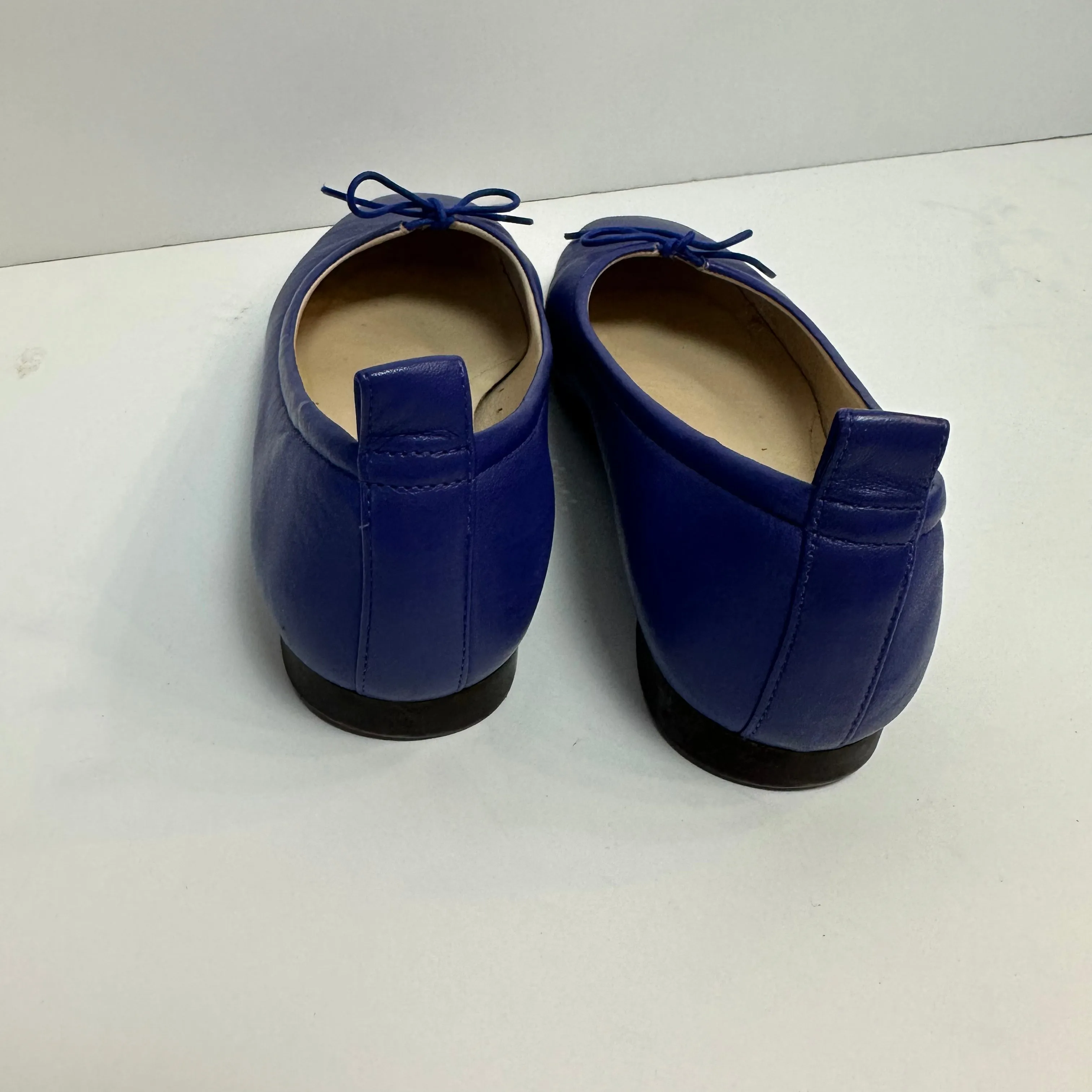 Everlane Day Ballet Flats Leather Bow Cobalt Royal Blue 6