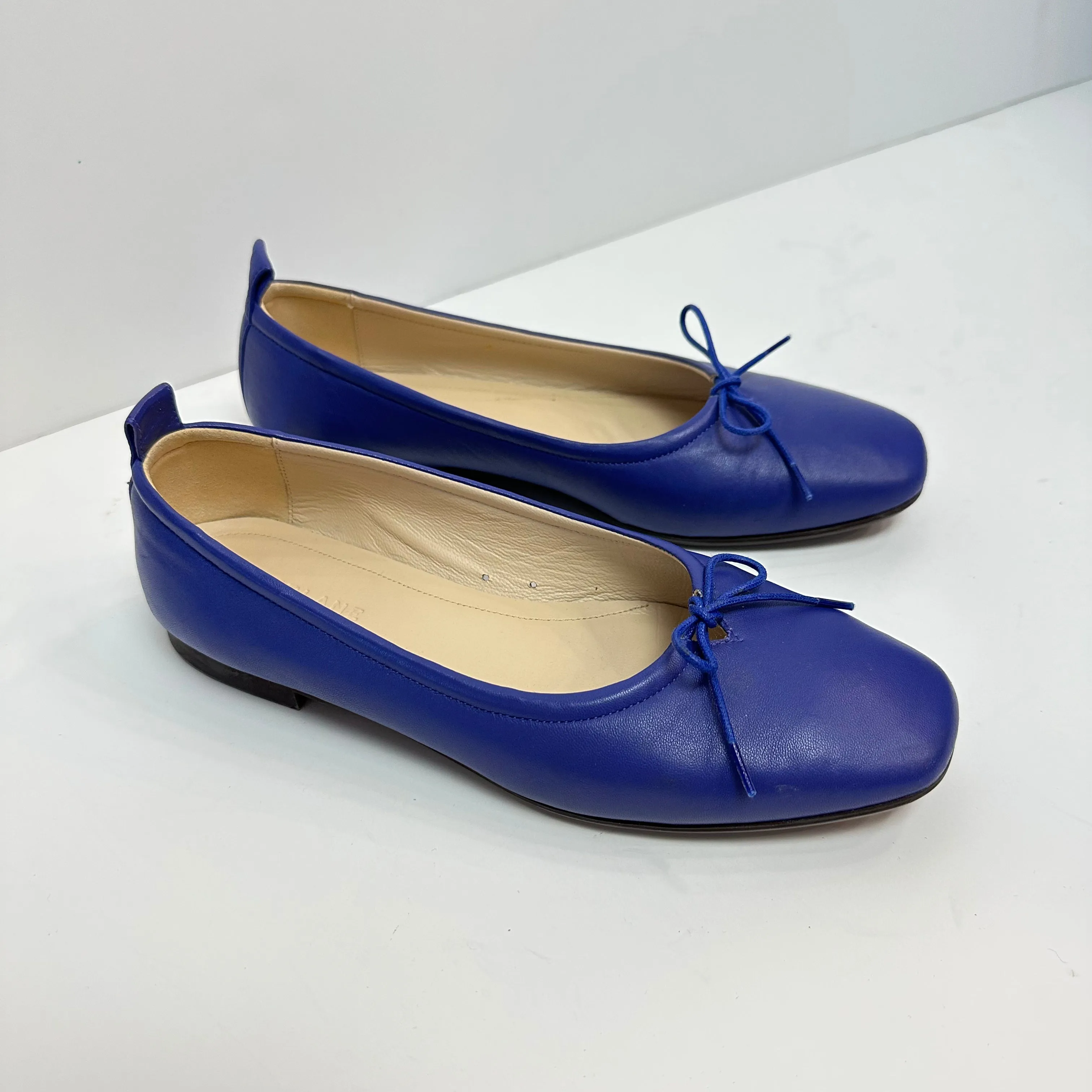 Everlane Day Ballet Flats Leather Bow Cobalt Royal Blue 6