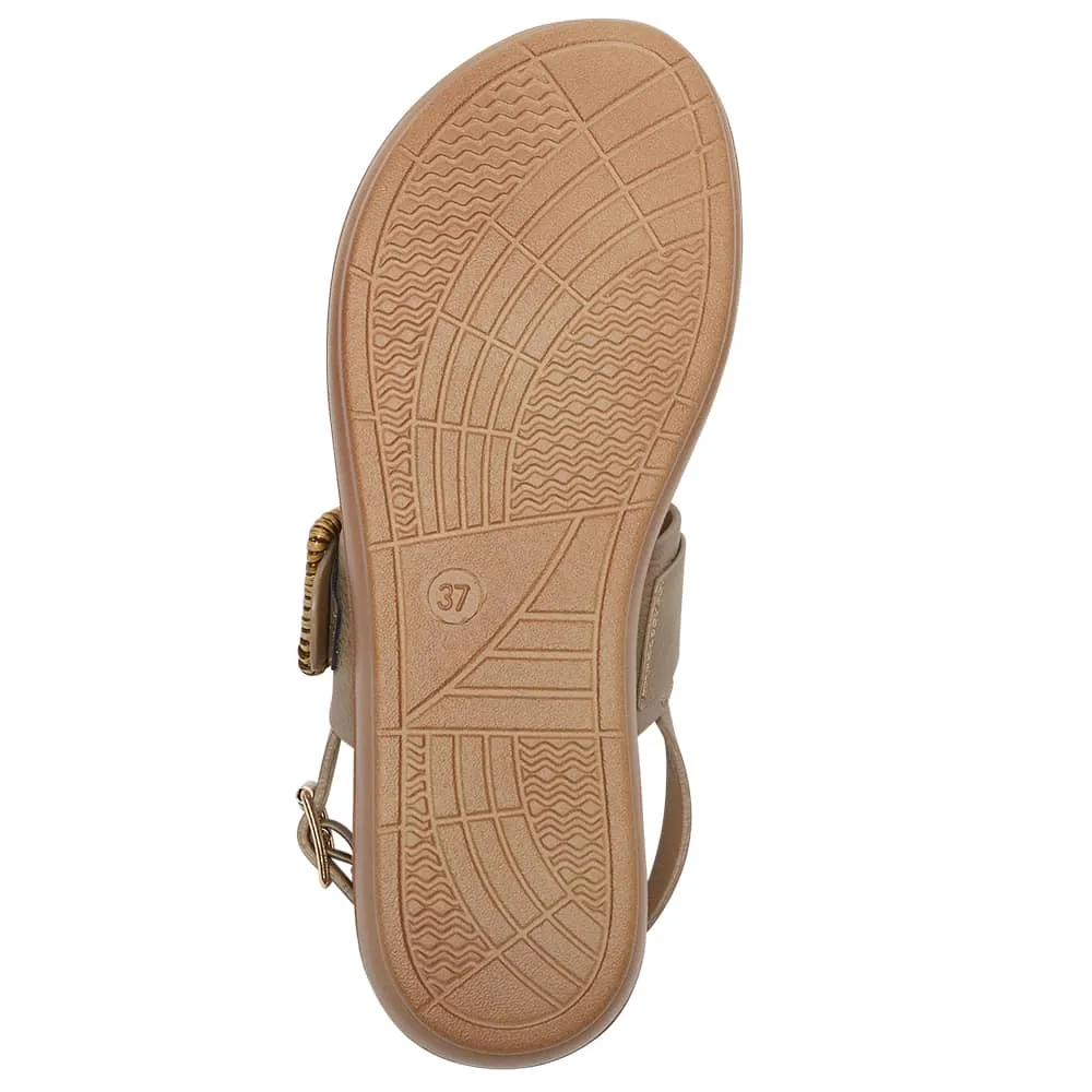 Grand Sandal in Taupe Smooth